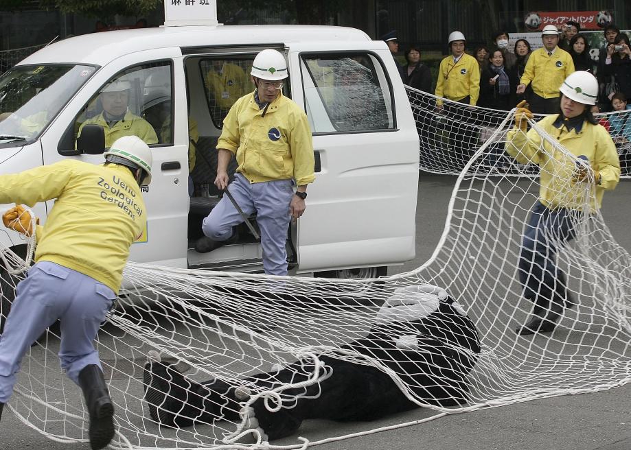 Ueno Zoo escaped animal drill in Tokyo.