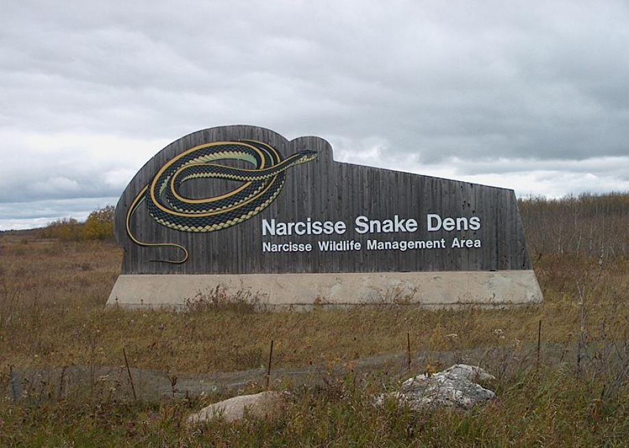 800pxnarcisse_snake_dens_sign