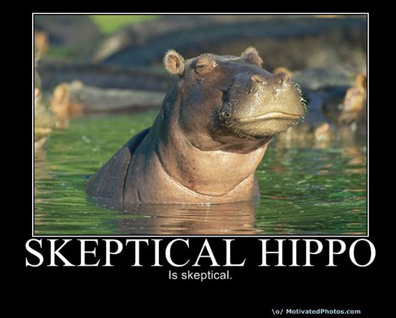 skeptical hippo