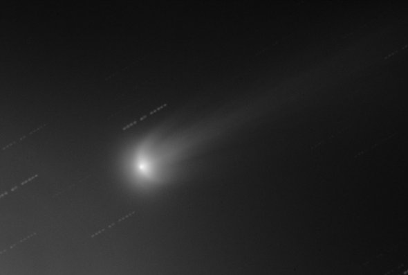 ISON and wings