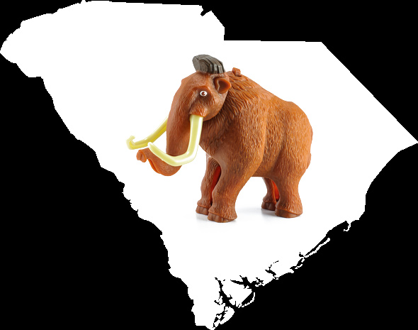 South Carolina mammoth