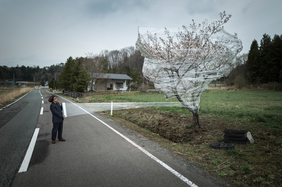 The evacuated town of Iitate. The packed tree is a cherry blossom. This tree is the symbol of ephemeral beauty in Japan (it remains in bloom a few days only). During World War II, the &quot;Sakura&quot; was the symbol used to motivate Japanese people.