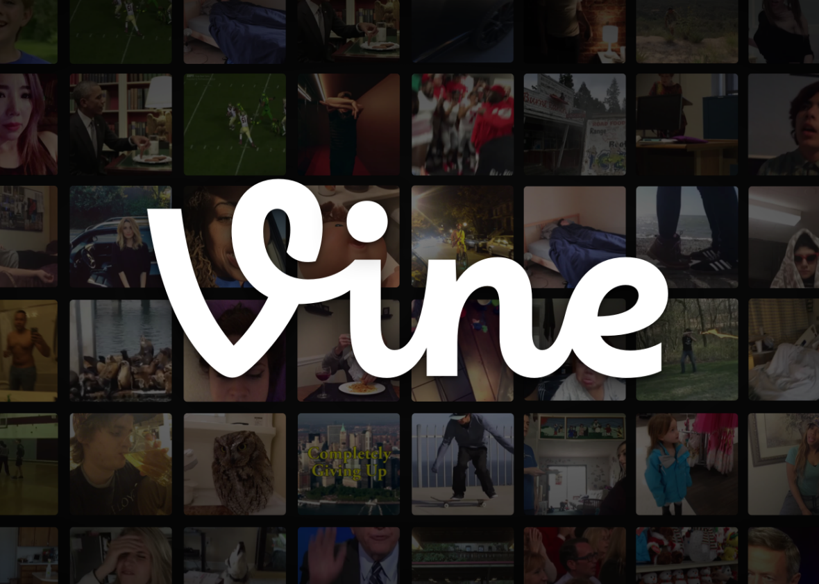 vine_banner_3 vine_banner_3