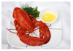 /blogs/cleanplate/2011/01/31/the_fifth_obstacle_to_sensible_eating_inertia/jcr:content/body/slate_image4 /blogs/cleanplate/2011/01/31/the_fifth_obstacle_to_sensible_eating_inertia/jcr:content/body/slate_image4
