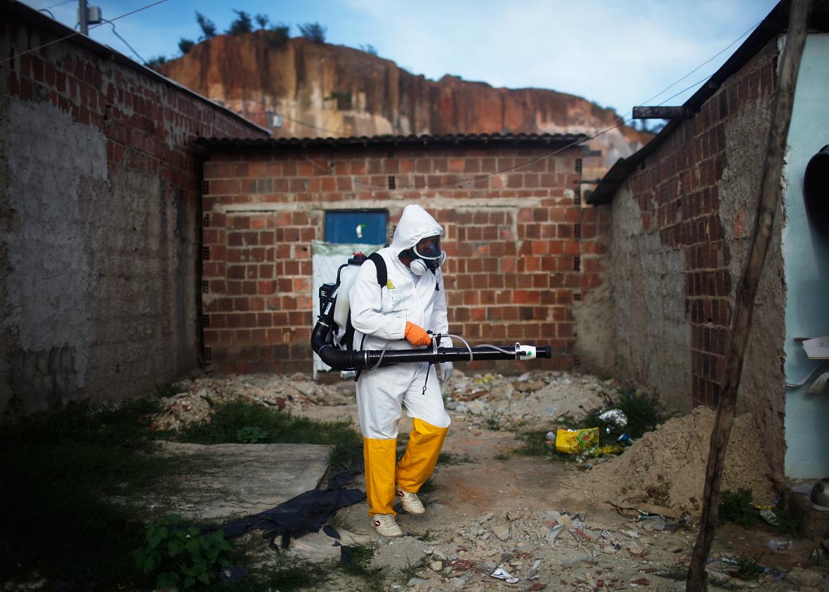 508438624-city-worker-fumigates-in-an-effort-to-eradicate-the 508438624-city-worker-fumigates-in-an-effort-to-eradicate-the