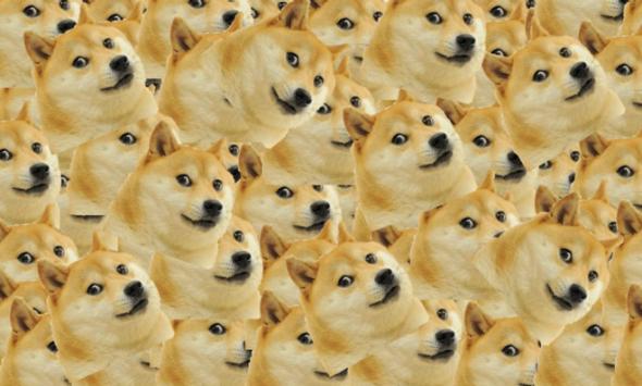 Doge: Why we can't agree on how to pronounce the internet meme ...