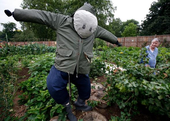 82041108-land-girl-elizabeth-harding-admires-a-scarecrow-as-she