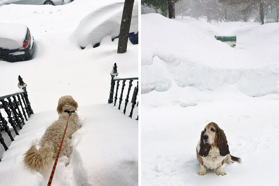 140209_SLATEST_BostonSnow-16