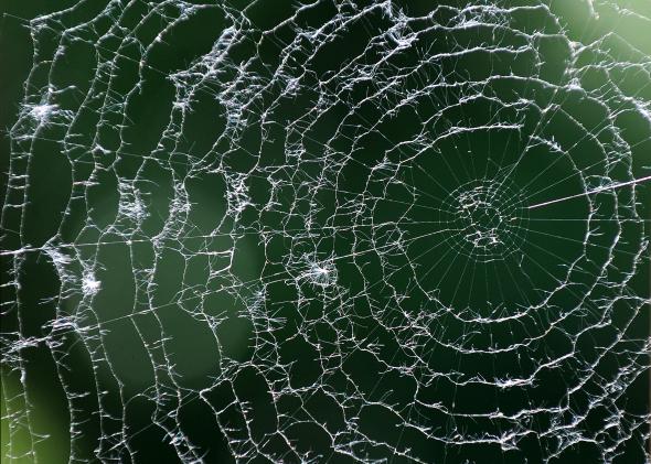 114151147-spider-web-on-the-patio-of-a-restaurant-shines-in