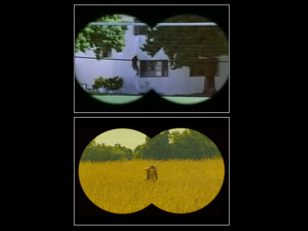 images%2Fslides%2Fwesanderson_binoculars