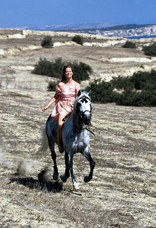 images%2Fslides%2F03a_HELENOFTROY_USA_00337_1