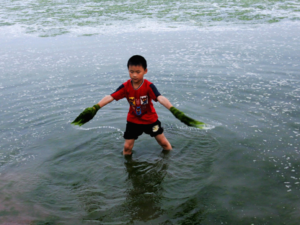 images%2Fslides%2Falgae_11real