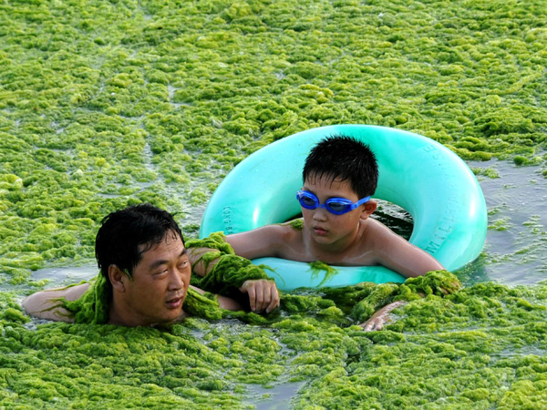 images%2Fslides%2Falgae_03A