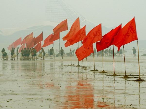 images%2Fslides%2Falgae_09real