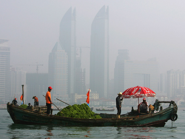 images%2Fslides%2Falgae_10real