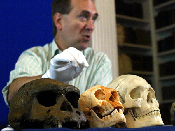 images%2Fslides%2FHomo-floresiensis