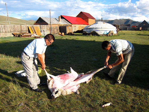 images%2Fslides%2F2_hide_2