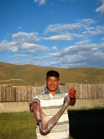 images%2Fslides%2F3_colon_2