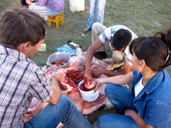 images%2Fslides%2F4_organs_2