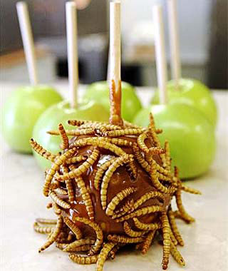 images%2Fslides%2F04-Mealworm-Covered-Caramel-Apple