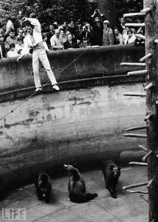 images%2Fslides%2Fstunt_07