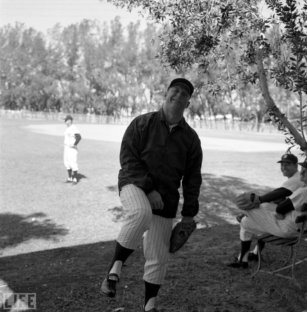 images%2Fslides%2Fyankees_03