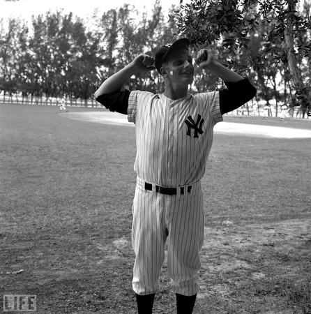 images%2Fslides%2Fyankees_05