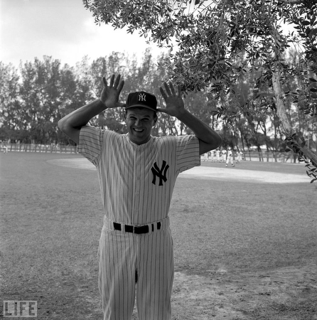 images%2Fslides%2Fyankees_10