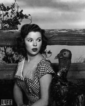 images%2Fslides%2Fturkey_04