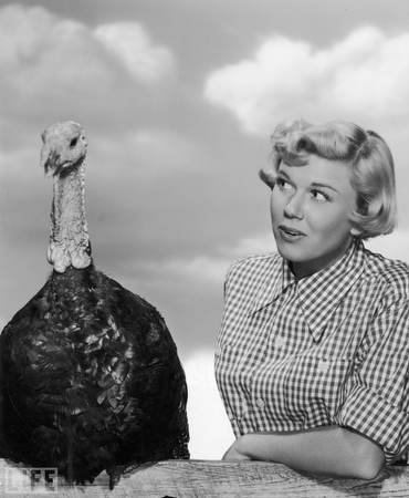 images%2Fslides%2Fturkey_05