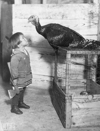 images%2Fslides%2Fturkey_06