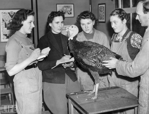 images%2Fslides%2Fturkey_07