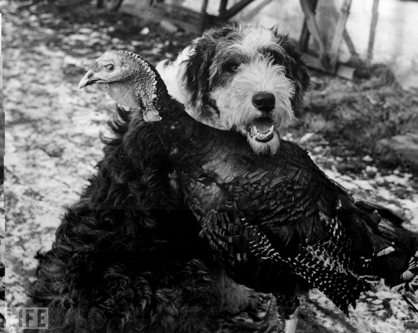 images%2Fslides%2Fturkey_10