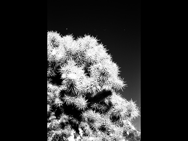 images%2Fslides%2F13_95160002