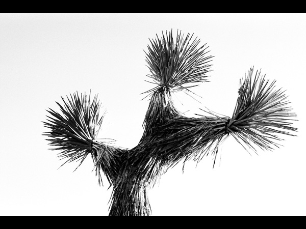 images%2Fslides%2F14_95160005