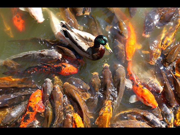 images%2Fslides%2F5_IMG_1587