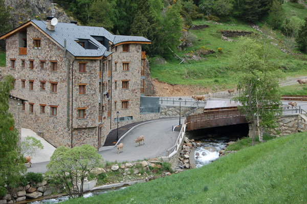 images%2Fslides%2F09_cows