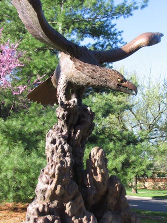 images%2Fslides%2F011_KCEagle