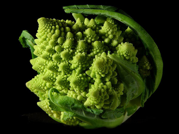 images%2Fslides%2FFractal_Broccoli_3