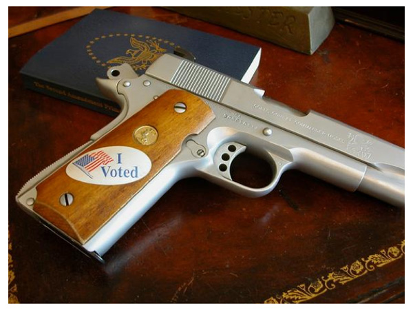 images%2Fslides%2Fi-voted-gun