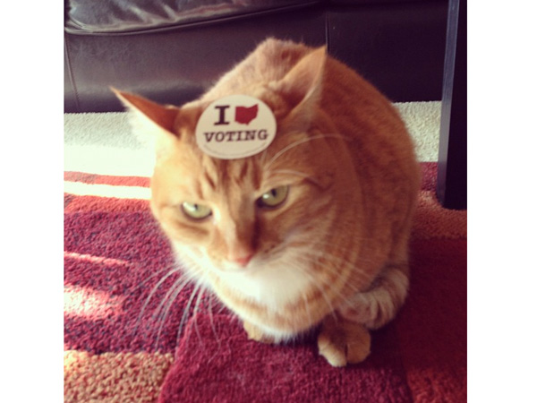 images%2Fslides%2Fi-voted-cat